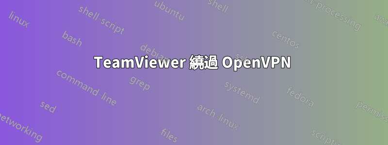 TeamViewer 繞過 OpenVPN