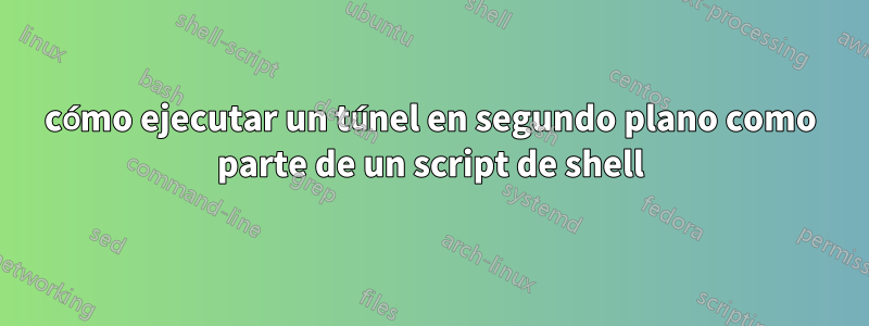 cómo ejecutar un túnel en segundo plano como parte de un script de shell