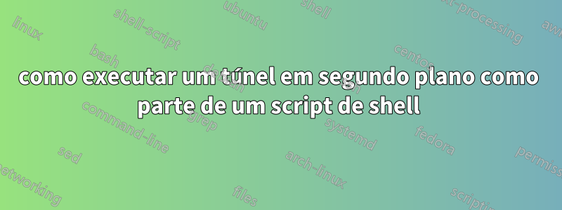 como executar um túnel em segundo plano como parte de um script de shell