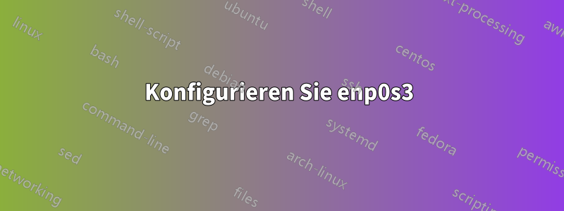 Konfigurieren Sie enp0s3