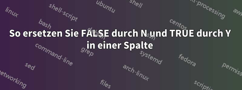 So ersetzen Sie FALSE durch N und TRUE durch Y in einer Spalte