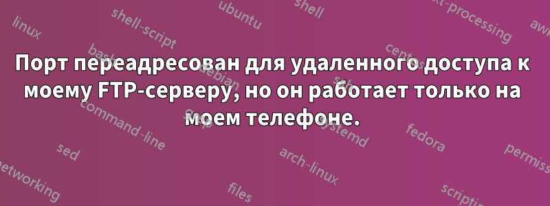 Порт переадресован для удаленного доступа к моему FTP-серверу, но он работает только на моем телефоне.