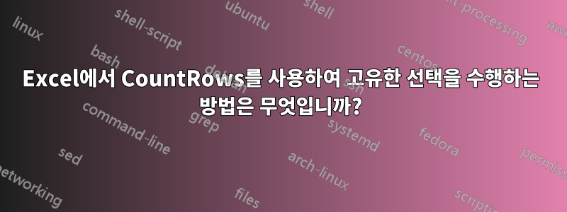 Excel에서 CountRows를 사용하여 고유한 선택을 수행하는 방법은 무엇입니까?