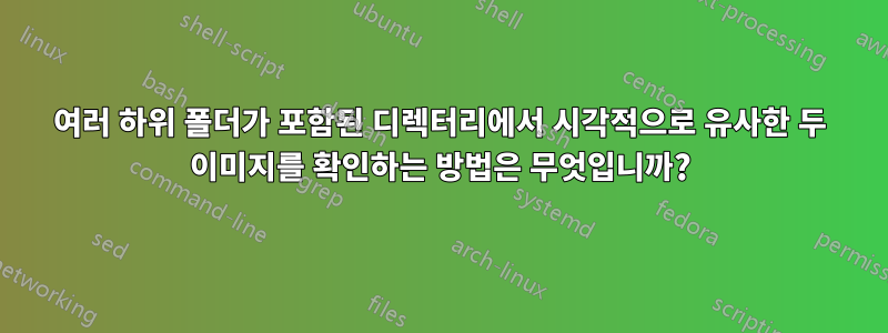 여러 하위 폴더가 포함된 디렉터리에서 시각적으로 유사한 두 이미지를 확인하는 방법은 무엇입니까?