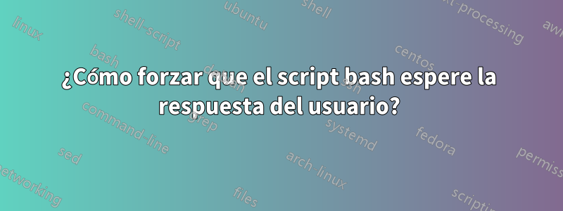 ¿Cómo forzar que el script bash espere la respuesta del usuario?