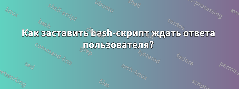 Как заставить bash-скрипт ждать ответа пользователя?