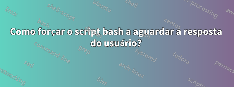 Como forçar o script bash a aguardar a resposta do usuário?