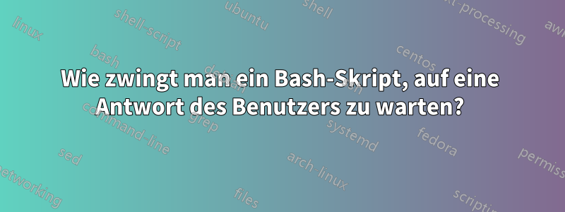 Wie zwingt man ein Bash-Skript, auf eine Antwort des Benutzers zu warten?