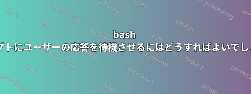 bash スクリプトにユーザーの応答を待機させるにはどうすればよいでしょうか?