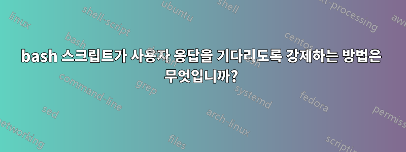 bash 스크립트가 사용자 응답을 기다리도록 강제하는 방법은 무엇입니까?