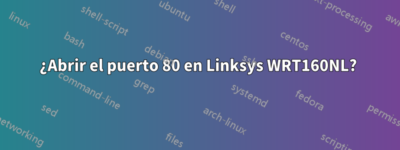 ¿Abrir el puerto 80 en Linksys WRT160NL?