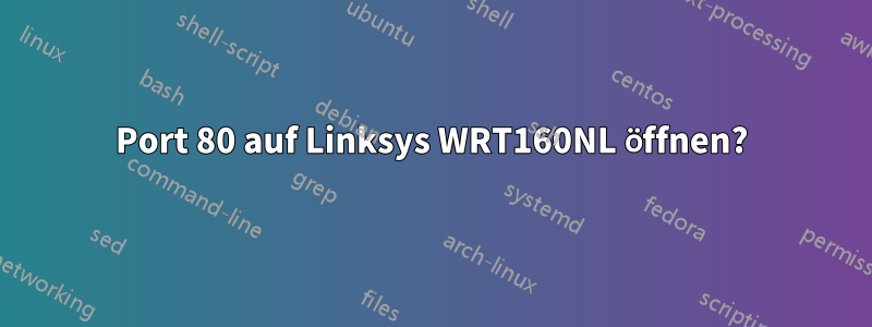 Port 80 auf Linksys WRT160NL öffnen?