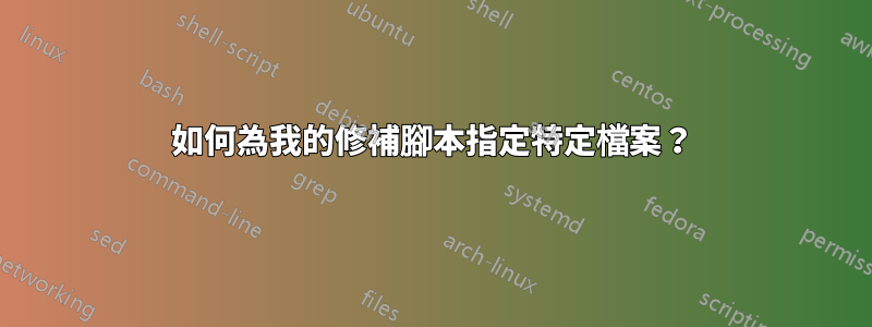 如何為我的修補腳本指定特定檔案？