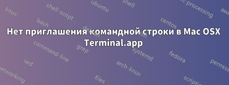 Нет приглашения командной строки в Mac OSX Terminal.app