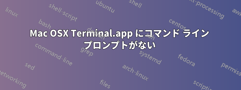 Mac OSX Terminal.app にコマンド ライン プロンプトがない