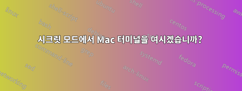 시크릿 모드에서 Mac 터미널을 여시겠습니까?