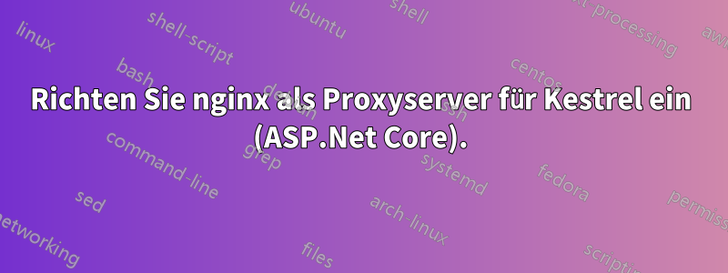 Richten Sie nginx als Proxyserver für Kestrel ein (ASP.Net Core).