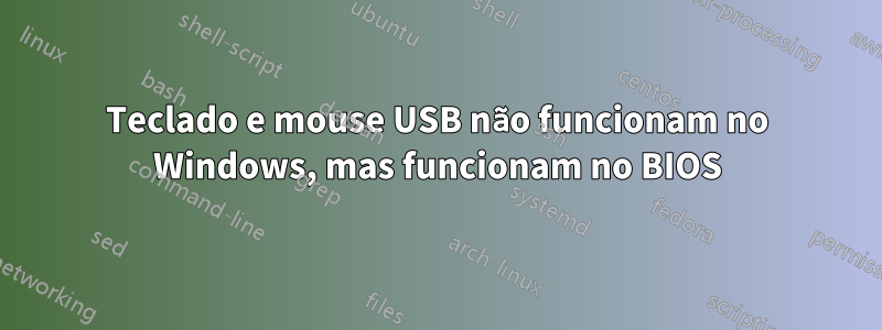 Teclado e mouse USB não funcionam no Windows, mas funcionam no BIOS