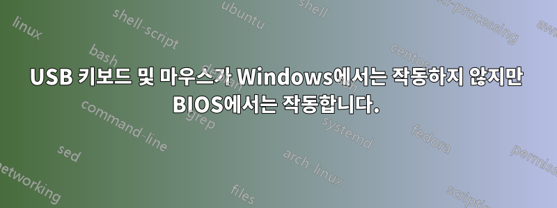 USB 키보드 및 마우스가 Windows에서는 작동하지 않지만 BIOS에서는 작동합니다.