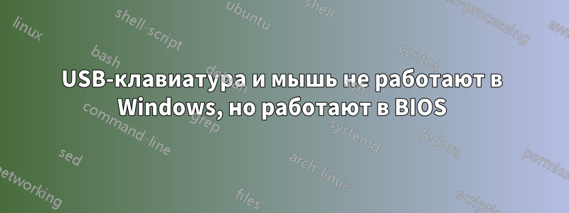 USB-клавиатура и мышь не работают в Windows, но работают в BIOS