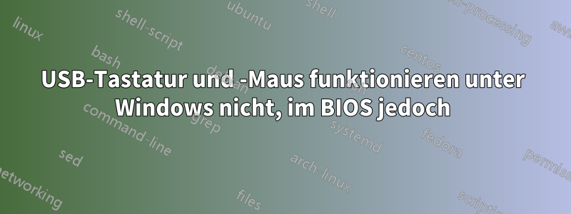 USB-Tastatur und -Maus funktionieren unter Windows nicht, im BIOS jedoch