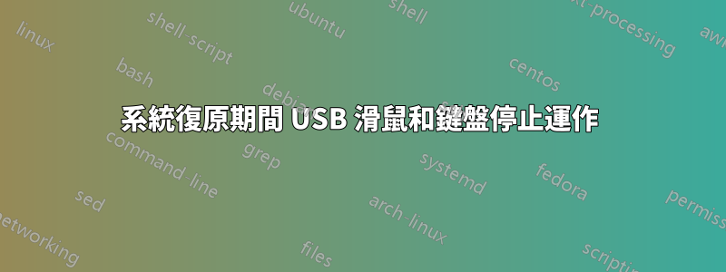 系統復原期間 USB 滑鼠和鍵盤停止運作