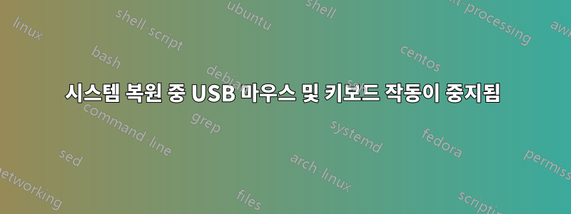 시스템 복원 중 USB 마우스 및 키보드 작동이 중지됨