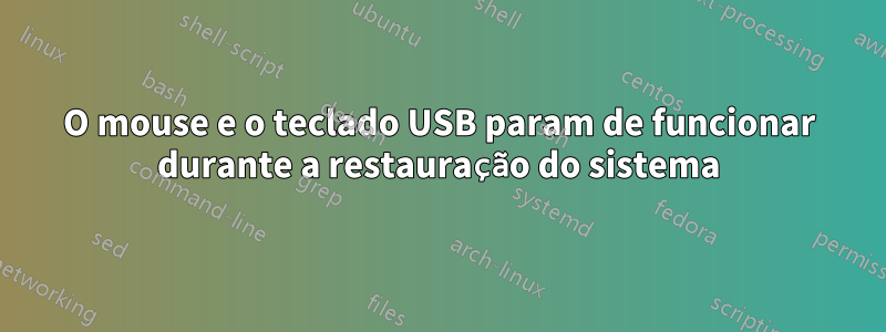 O mouse e o teclado USB param de funcionar durante a restauração do sistema