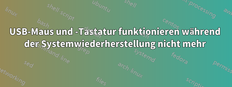 USB-Maus und -Tastatur funktionieren während der Systemwiederherstellung nicht mehr