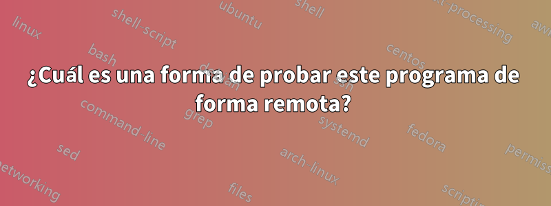 ¿Cuál es una forma de probar este programa de forma remota?