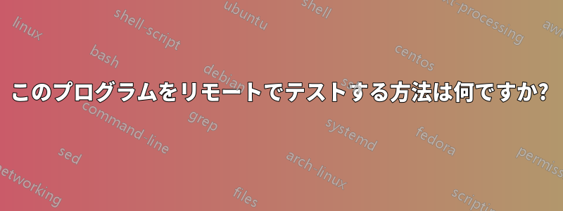 このプログラムをリモートでテストする方法は何ですか?