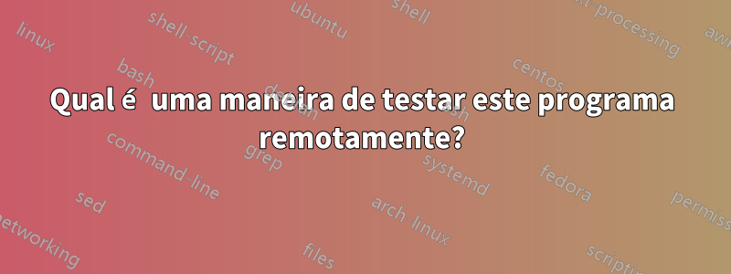 Qual é uma maneira de testar este programa remotamente?