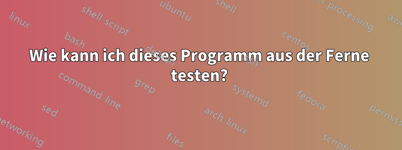 Wie kann ich dieses Programm aus der Ferne testen?