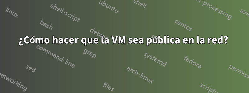 ¿Cómo hacer que la VM sea pública en la red?