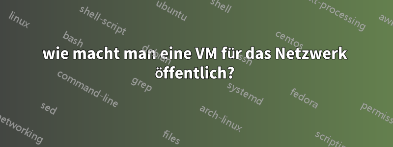 wie macht man eine VM für das Netzwerk öffentlich?