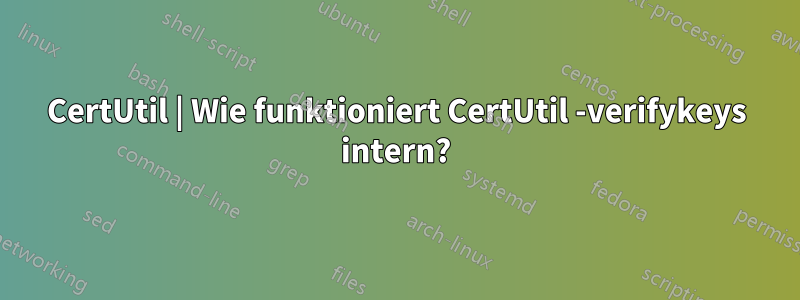 CertUtil | Wie funktioniert CertUtil -verifykeys intern?