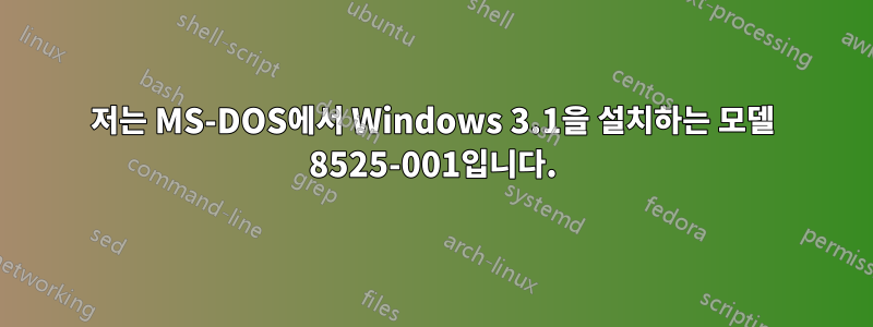 저는 MS-DOS에서 Windows 3.1을 설치하는 모델 8525-001입니다.