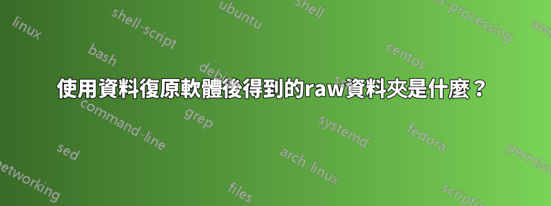 使用資料復原軟體後得到的raw資料夾是什麼？