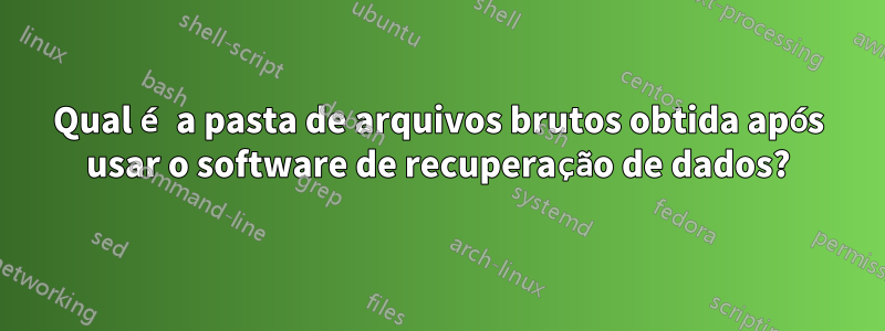 Qual é a pasta de arquivos brutos obtida após usar o software de recuperação de dados?