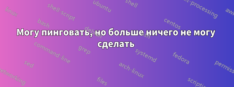 Могу пинговать, но больше ничего не могу сделать