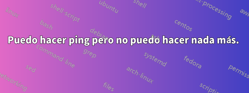 Puedo hacer ping pero no puedo hacer nada más.