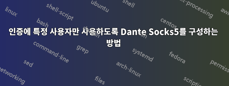 인증에 특정 사용자만 사용하도록 Dante Socks5를 구성하는 방법