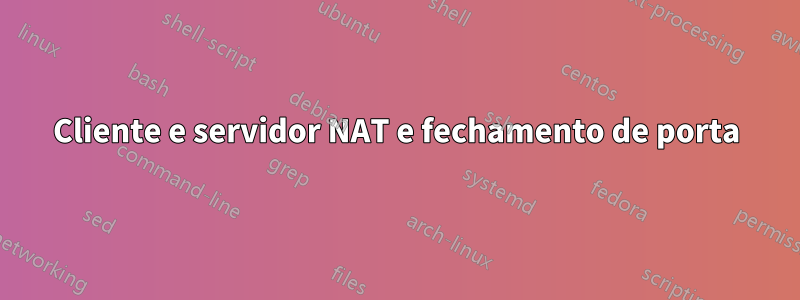Cliente e servidor NAT e fechamento de porta