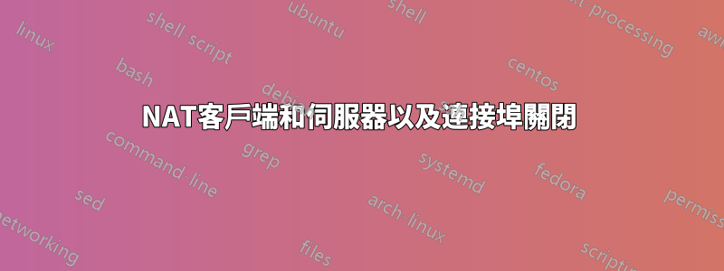 NAT客戶端和伺服器以及連接埠關閉