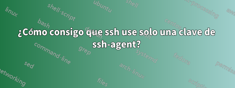 ¿Cómo consigo que ssh use solo una clave de ssh-agent?