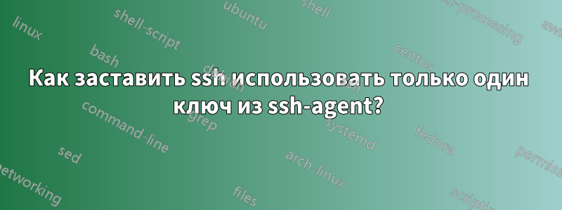 Как заставить ssh использовать только один ключ из ssh-agent?