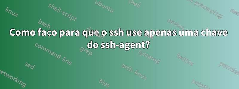 Como faço para que o ssh use apenas uma chave do ssh-agent?