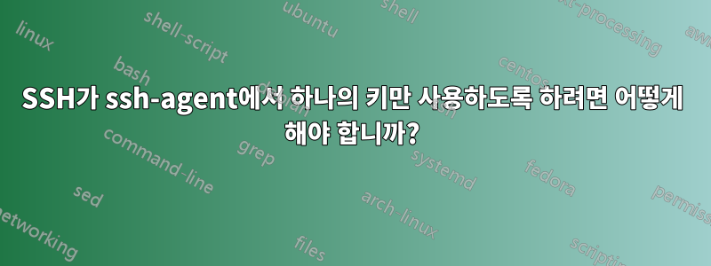SSH가 ssh-agent에서 하나의 키만 사용하도록 하려면 어떻게 해야 합니까?
