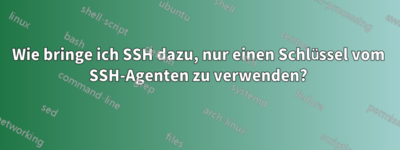 Wie bringe ich SSH dazu, nur einen Schlüssel vom SSH-Agenten zu verwenden?