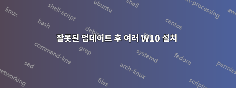 잘못된 업데이트 후 여러 W10 설치